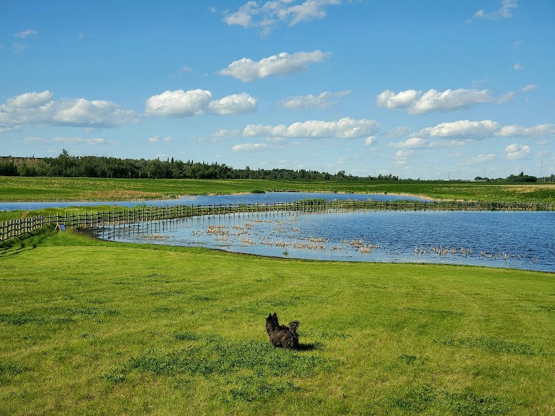 West River's Edge Dog Park dog park in Fort Saskatchewan, Alberta