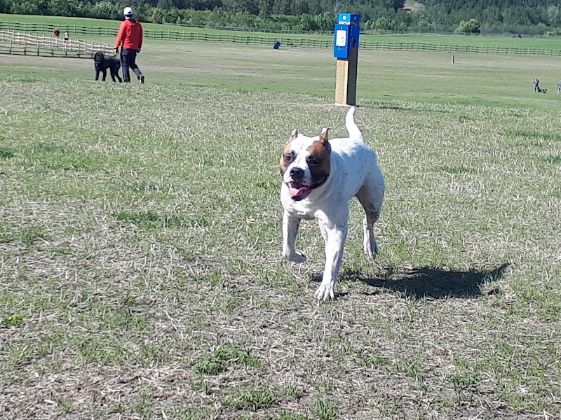 West River's Edge Dog Park dog park in Fort Saskatchewan, Alberta