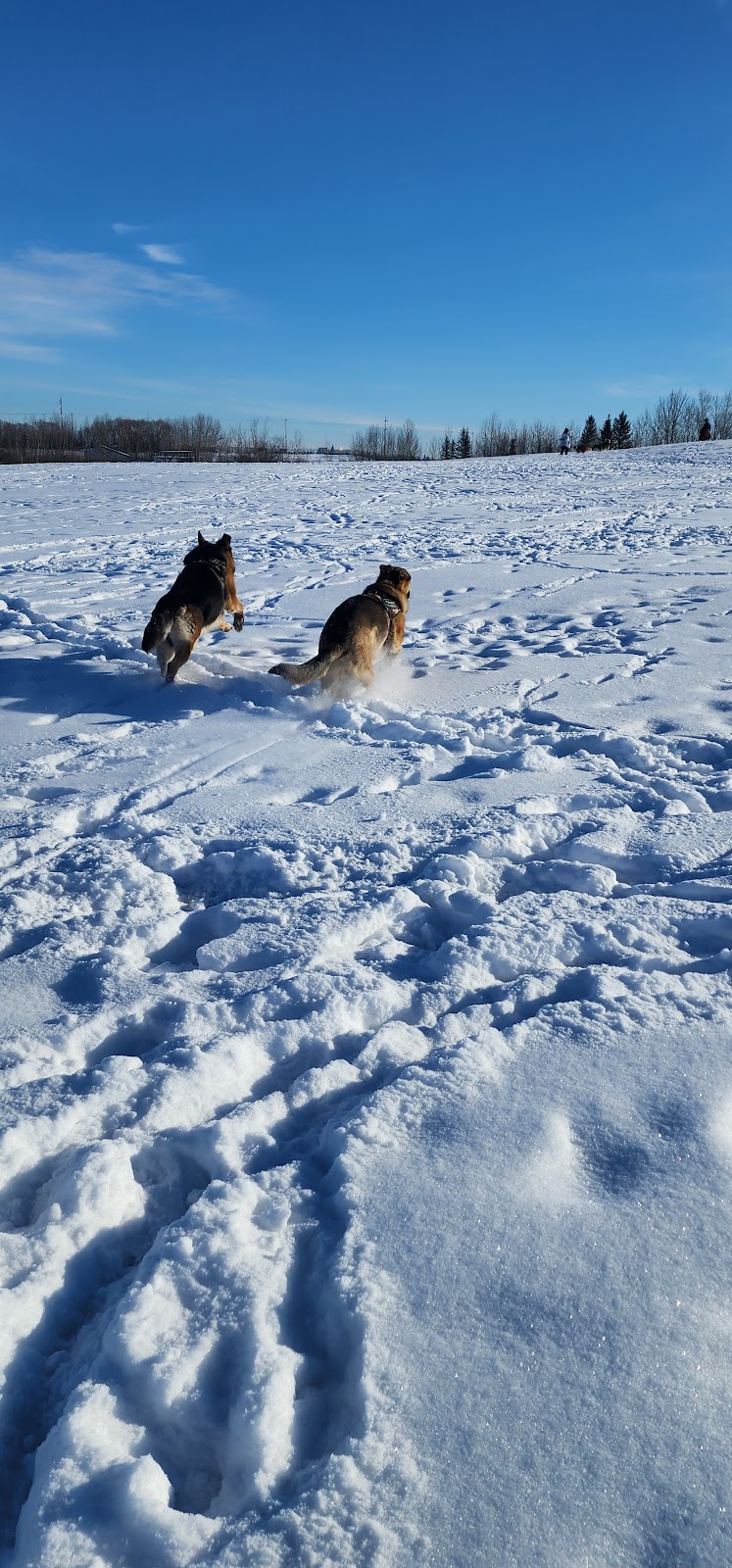 Umbach Off-Leash Dog Park dog park in Stony Plain, Alberta
