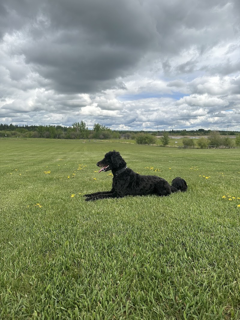 Umbach Off-Leash Dog Park dog park in Stony Plain, Alberta