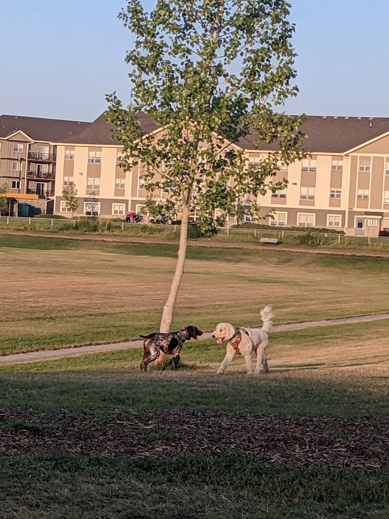 Dog Park dog park in Camrose, Alberta