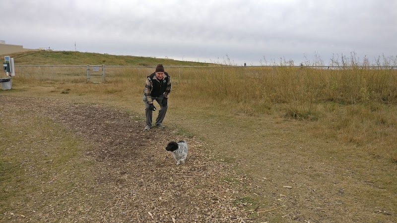Dog Park dog park in Camrose, Alberta
