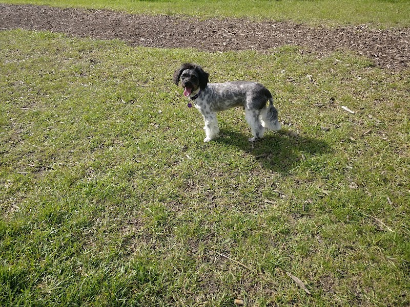 Dog Park dog park in Camrose, Alberta