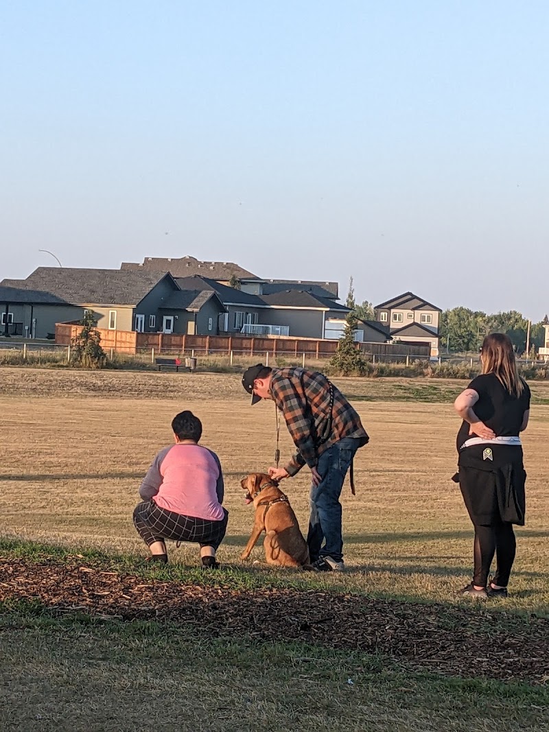 Dog Park dog park in Camrose, Alberta