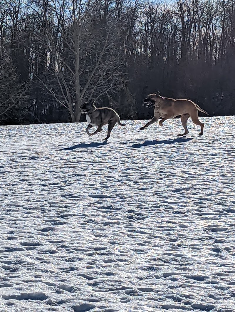 Cpl. Jim Galloway Memorial Off Leash Area dog park in Spruce Grove, Alberta