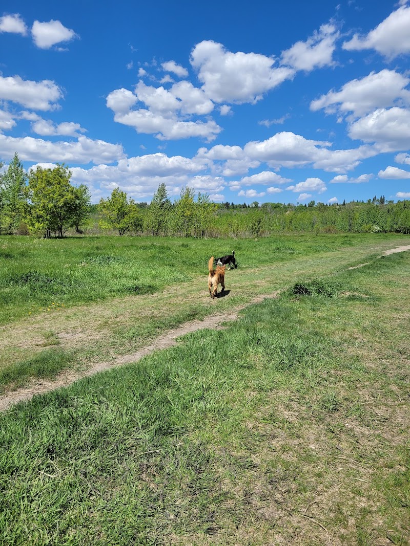 Terwillegar Dog Park dog park in Edmonton, Alberta