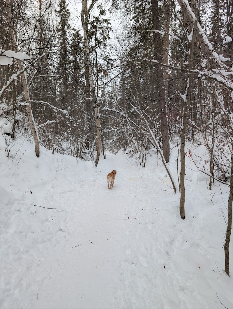 Terwillegar Dog Park dog park in Edmonton, Alberta