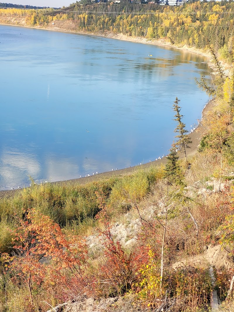 Terwillegar Dog Park dog park in Edmonton, Alberta