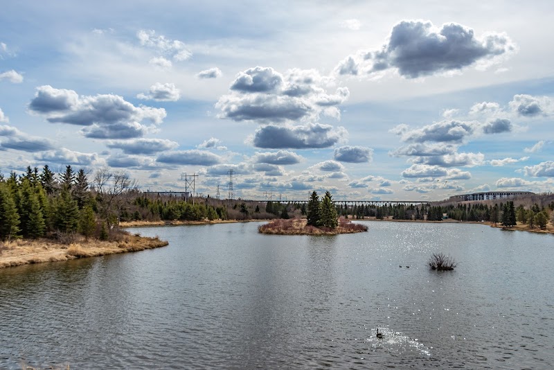 Hermitage Park dog park in Edmonton, Alberta