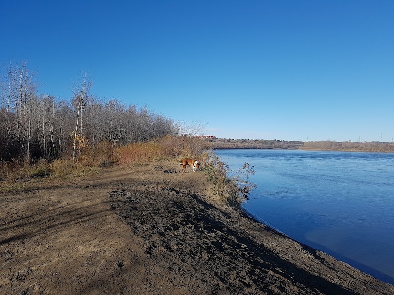 Hermitage Park dog park in Edmonton, Alberta