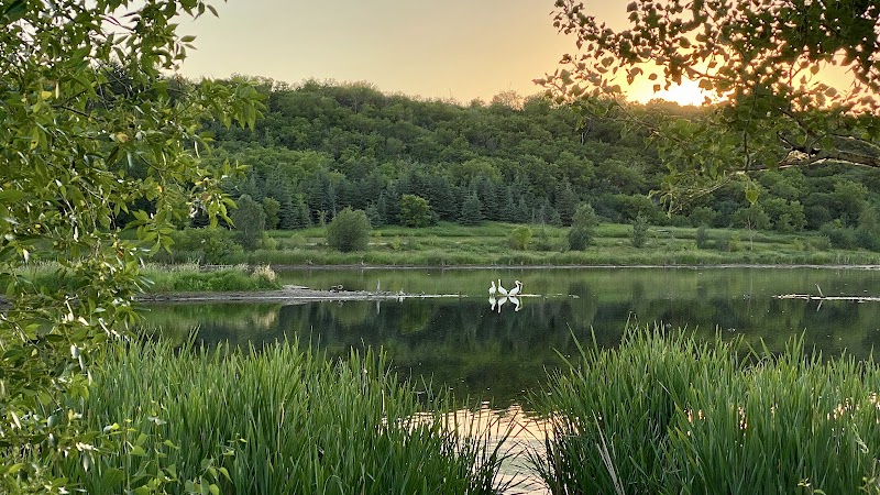 Hermitage Park dog park in Edmonton, Alberta