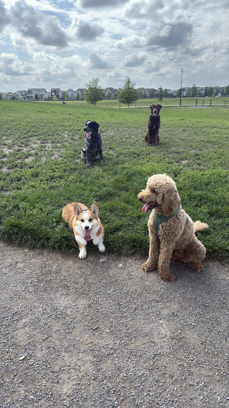 Paisley Dog Park dog park in Edmonton, Alberta