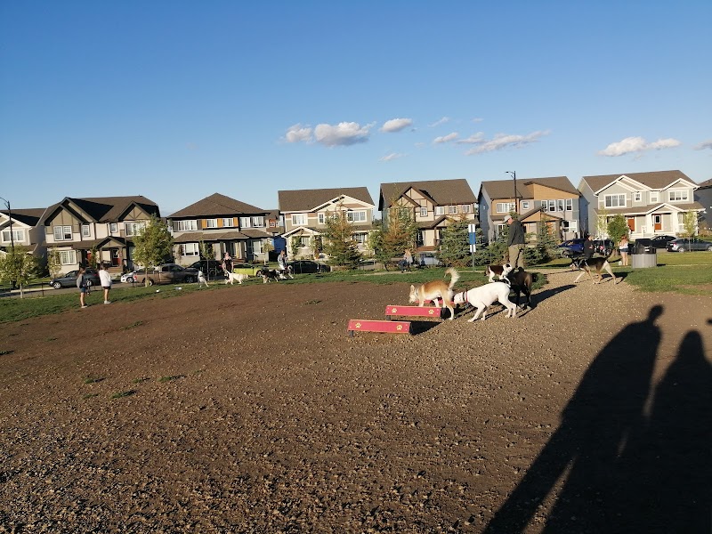 Paisley Dog Park dog park in Edmonton, Alberta