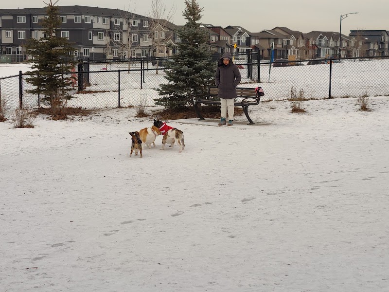 Paisley Dog Park dog park in Edmonton, Alberta