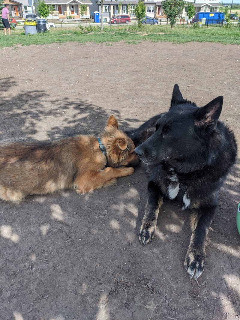 Paisley Dog Park dog park in Edmonton, Alberta