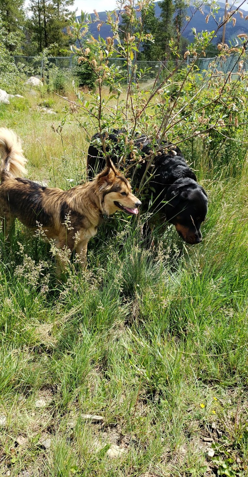Jasper Off-leash Park dog park in Jasper, Alberta