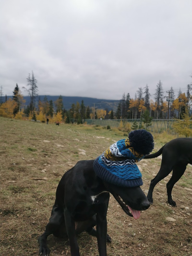 Jasper Off-leash Park dog park in Jasper, Alberta