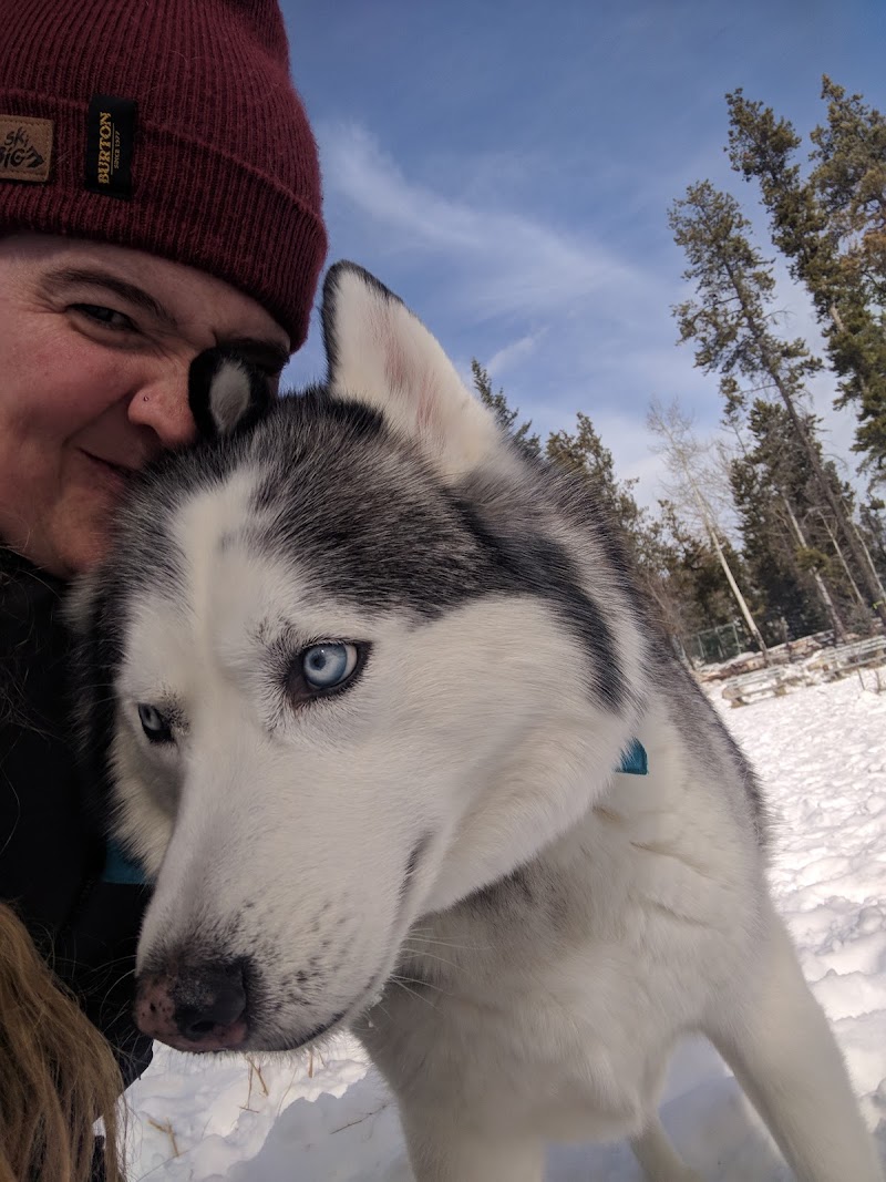 Jasper Off-leash Park dog park in Jasper, Alberta