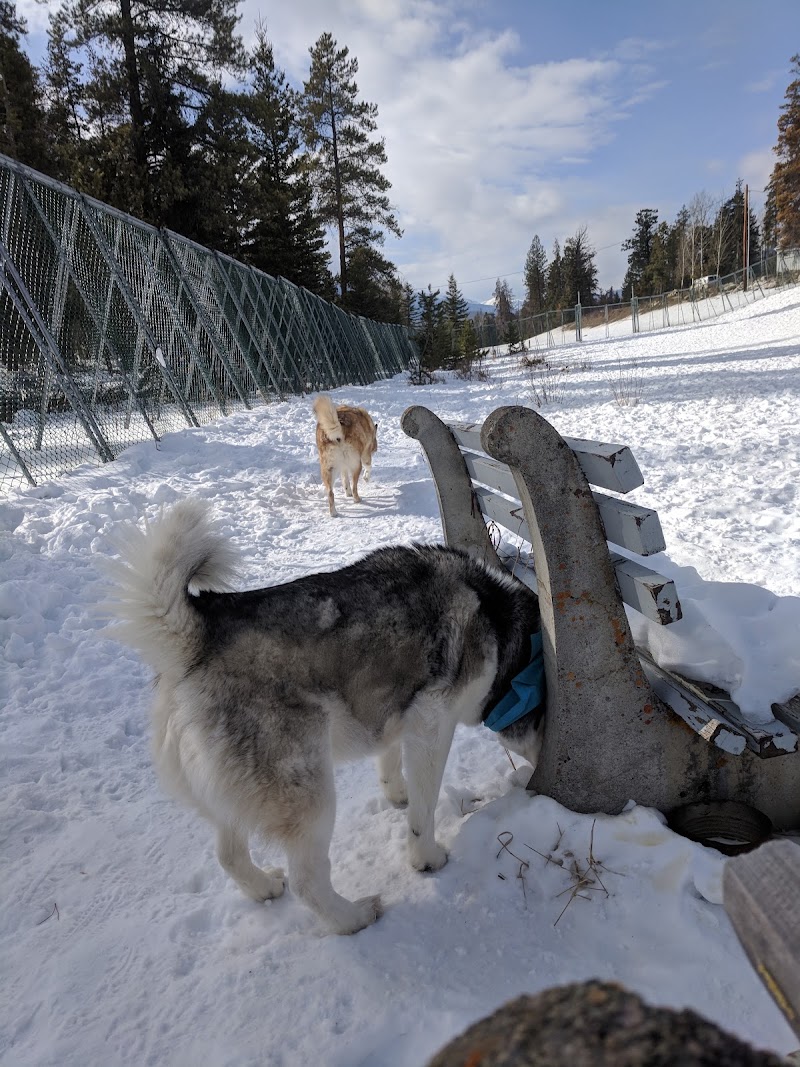 Jasper Off-leash Park dog park in Jasper, Alberta