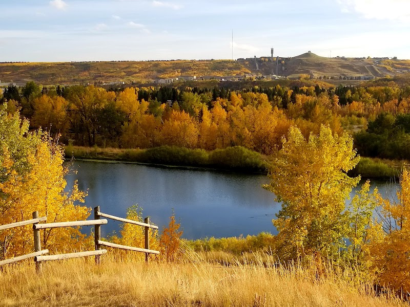 Bowmont Park Fenced Off-Leash Area dog park in Calgary, Alberta
