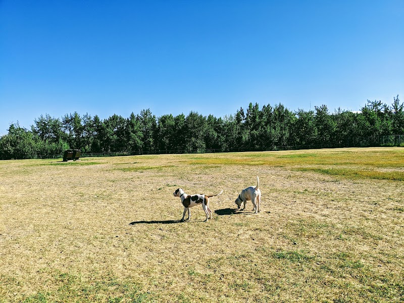 Bowmont Park Fenced Off-Leash Area dog park in Calgary, Alberta