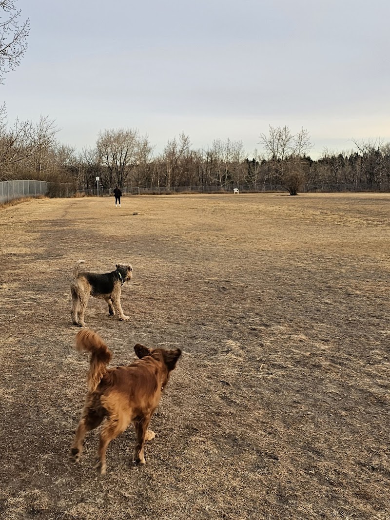 Bowmont Park Fenced Off-Leash Area dog park in Calgary, Alberta
