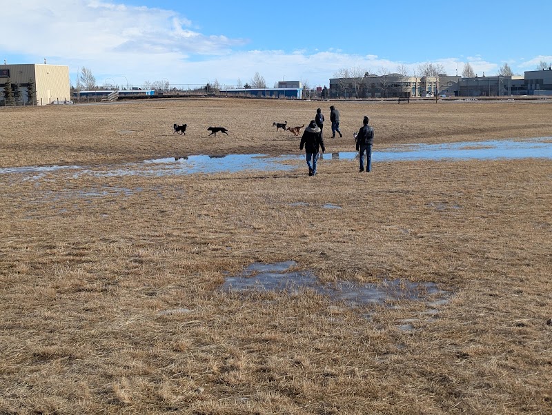 Bishop off-leash Dog Park dog park in High River, Alberta