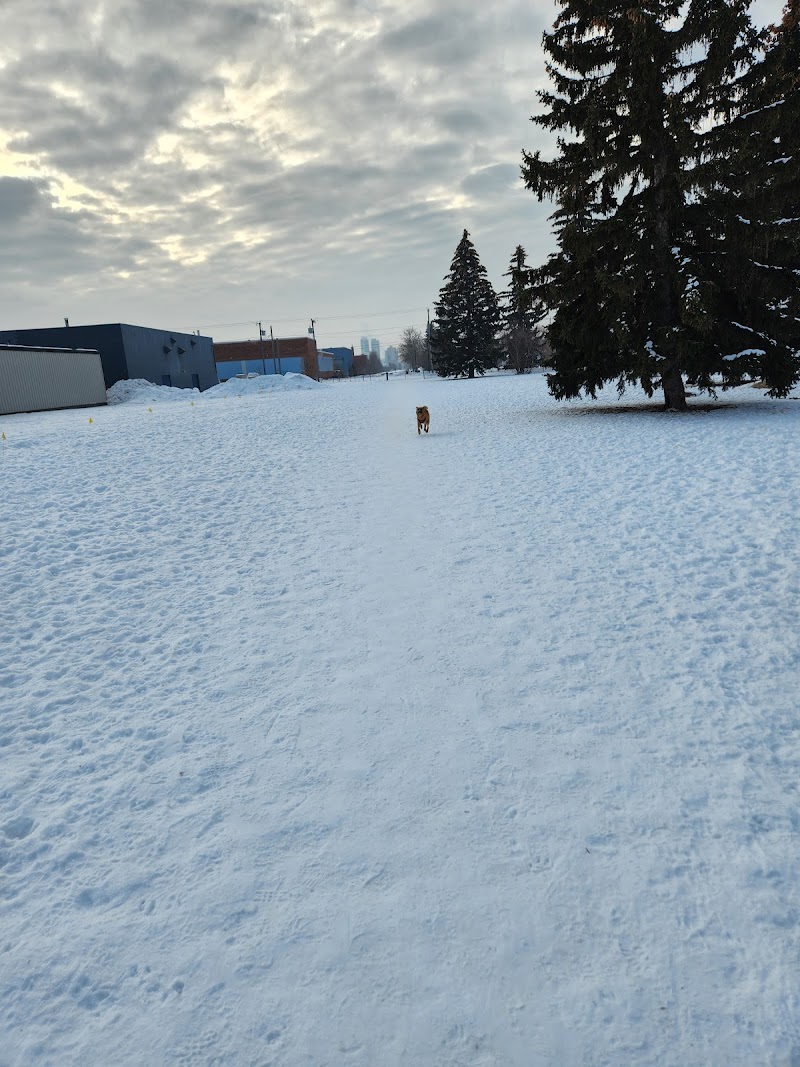Inglewood Off Leash Dog Park dog park in Edmonton, Alberta