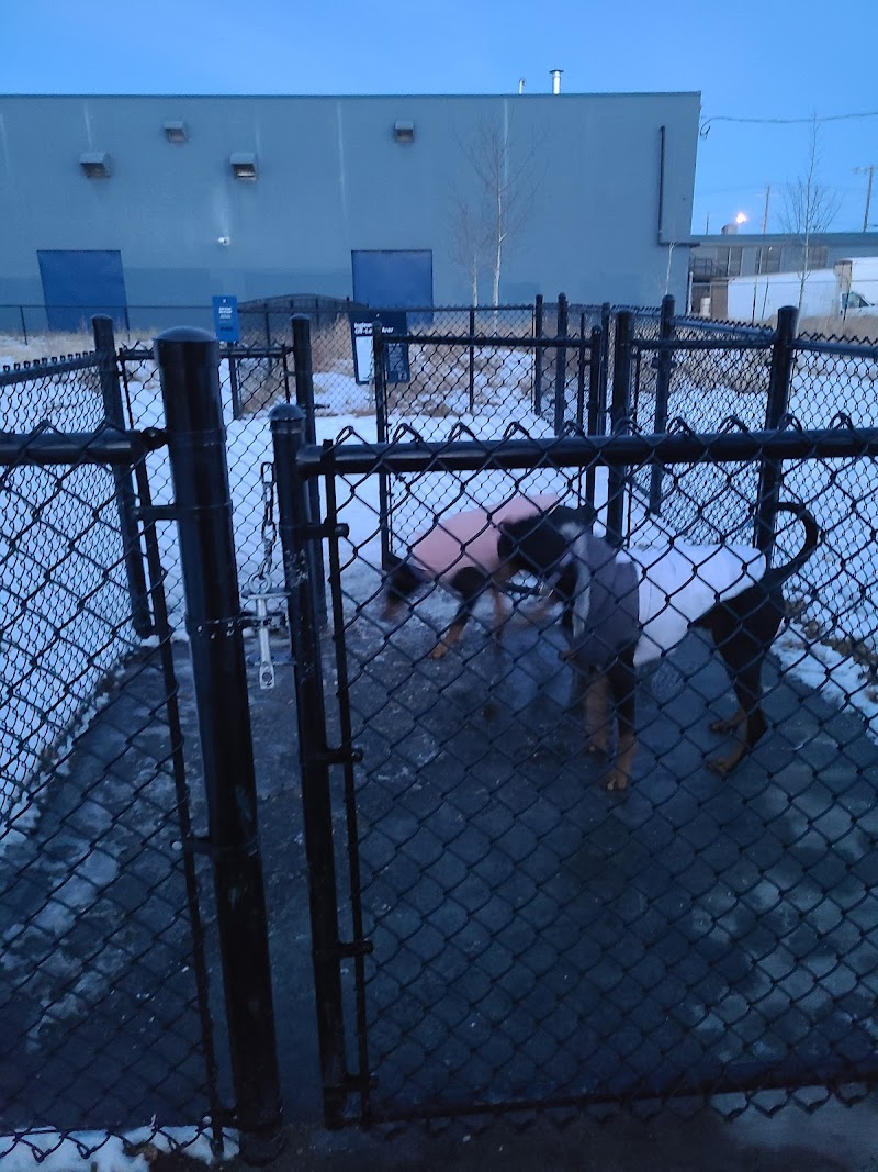 Inglewood Off Leash Dog Park dog park in Edmonton, Alberta