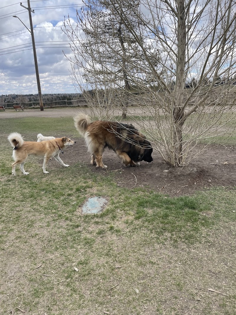 River Park Off Leash Dog Park dog park in Calgary, Alberta