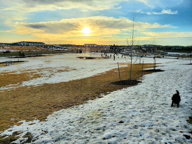 Manning Village off-leash Dog Park dog park in Edmonton, Alberta