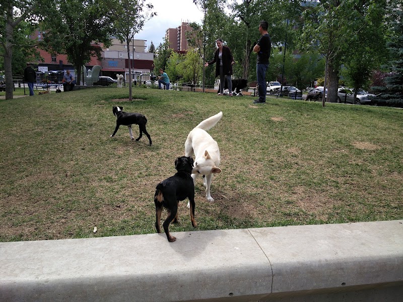 Connaught Off-Leash Dog Park - fenced in dog park in Calgary, Alberta