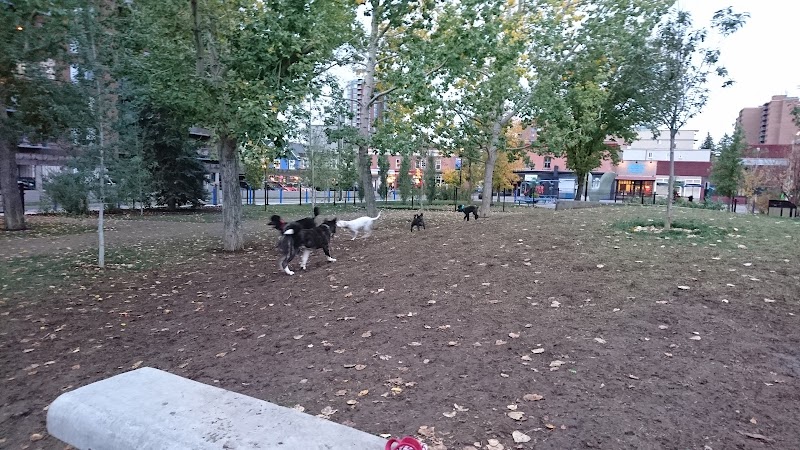 Connaught Off-Leash Dog Park - fenced in dog park in Calgary, Alberta