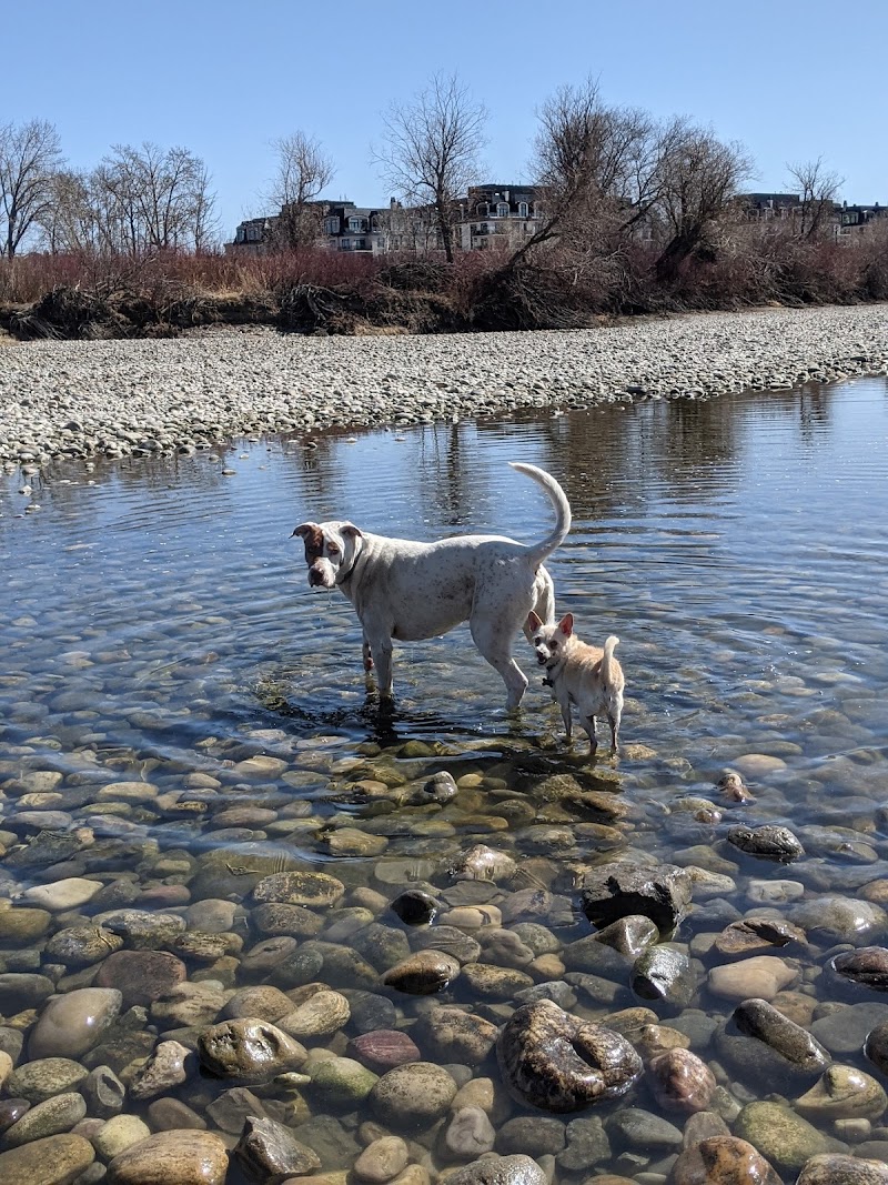 Sue Higgins Off-Leash Area dog park in Calgary, Alberta