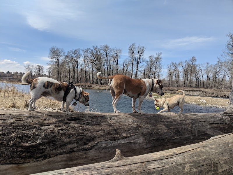 Sue Higgins Off-Leash Area dog park in Calgary, Alberta