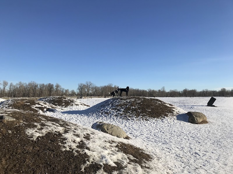 Sue Higgins Off-Leash Area dog park in Calgary, Alberta