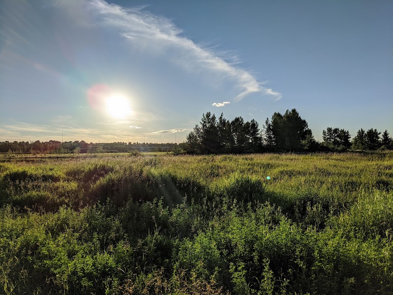 Sue Higgins Off-Leash Area dog park in Calgary, Alberta