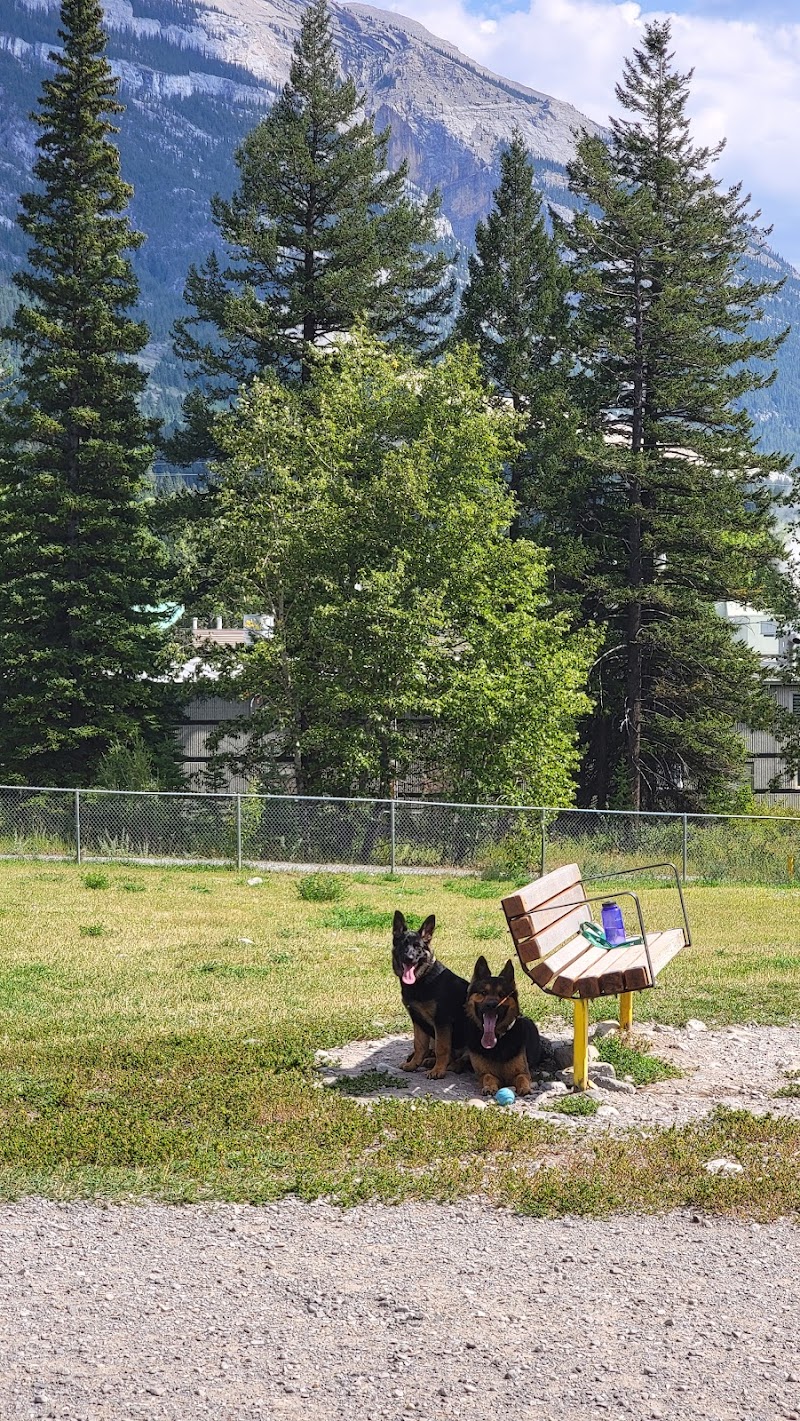Elk Run Dog Park dog park in Canmore, Alberta
