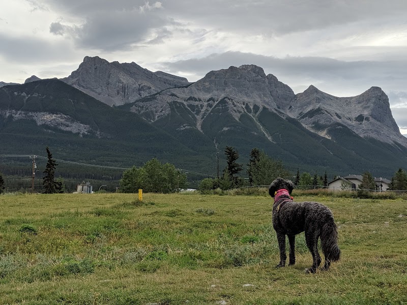 Elk Run Dog Park dog park in Canmore, Alberta