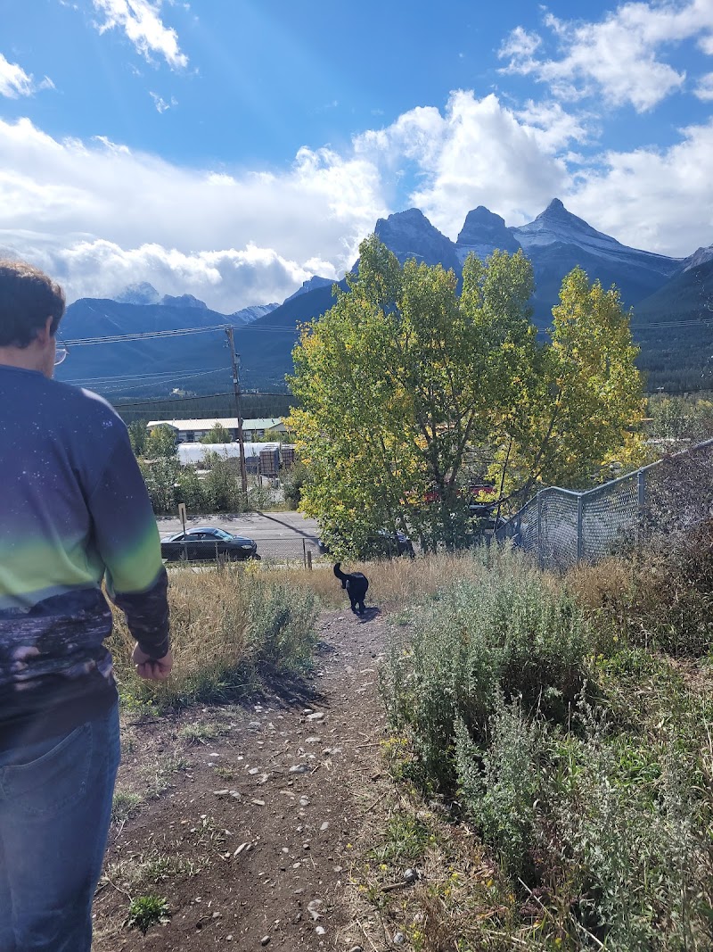 Elk Run Dog Park dog park in Canmore, Alberta