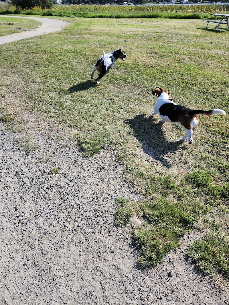 Chestermere Off-Leash Area dog park in Chestermere, Alberta