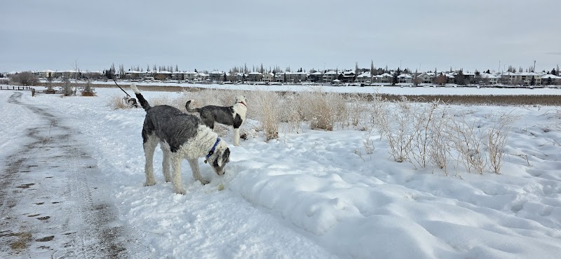 Chestermere Off-Leash Area dog park in Chestermere, Alberta