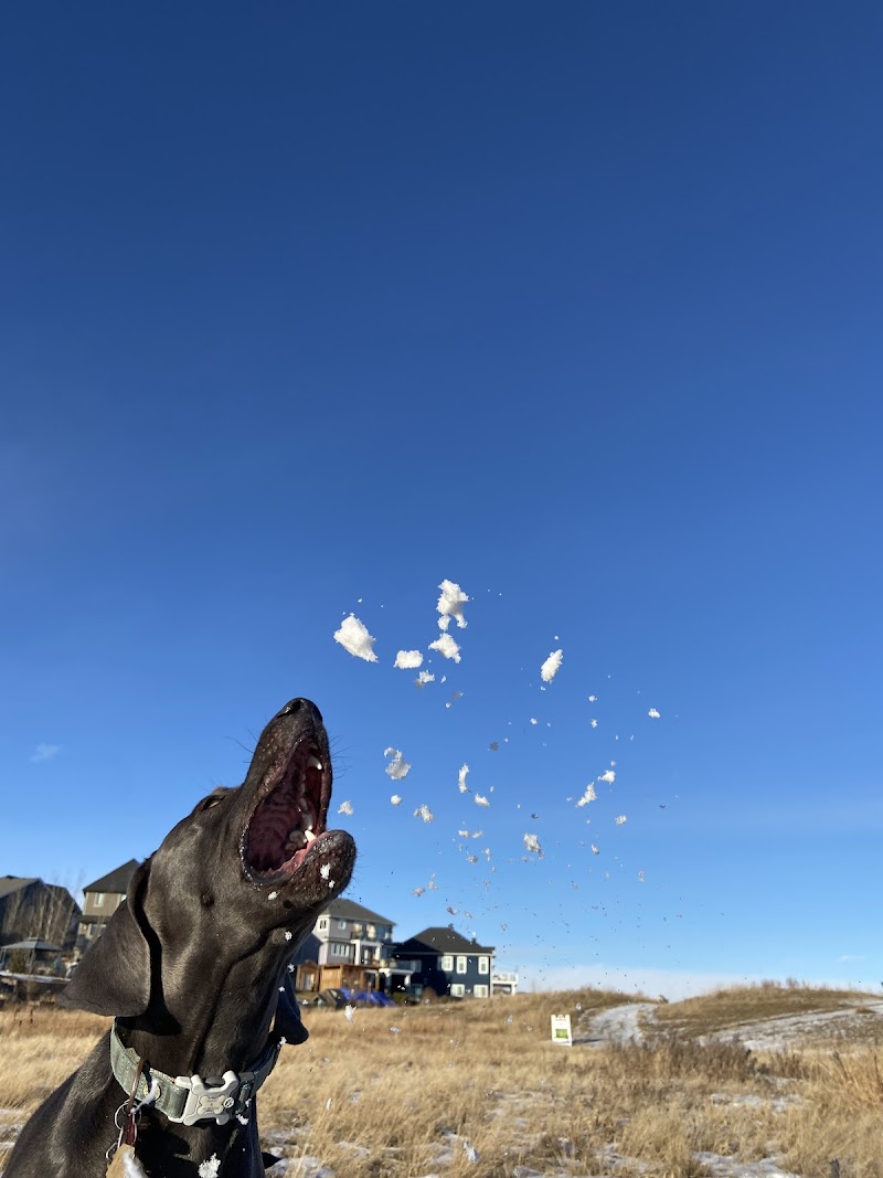 Chestermere Off-Leash Area dog park in Chestermere, Alberta