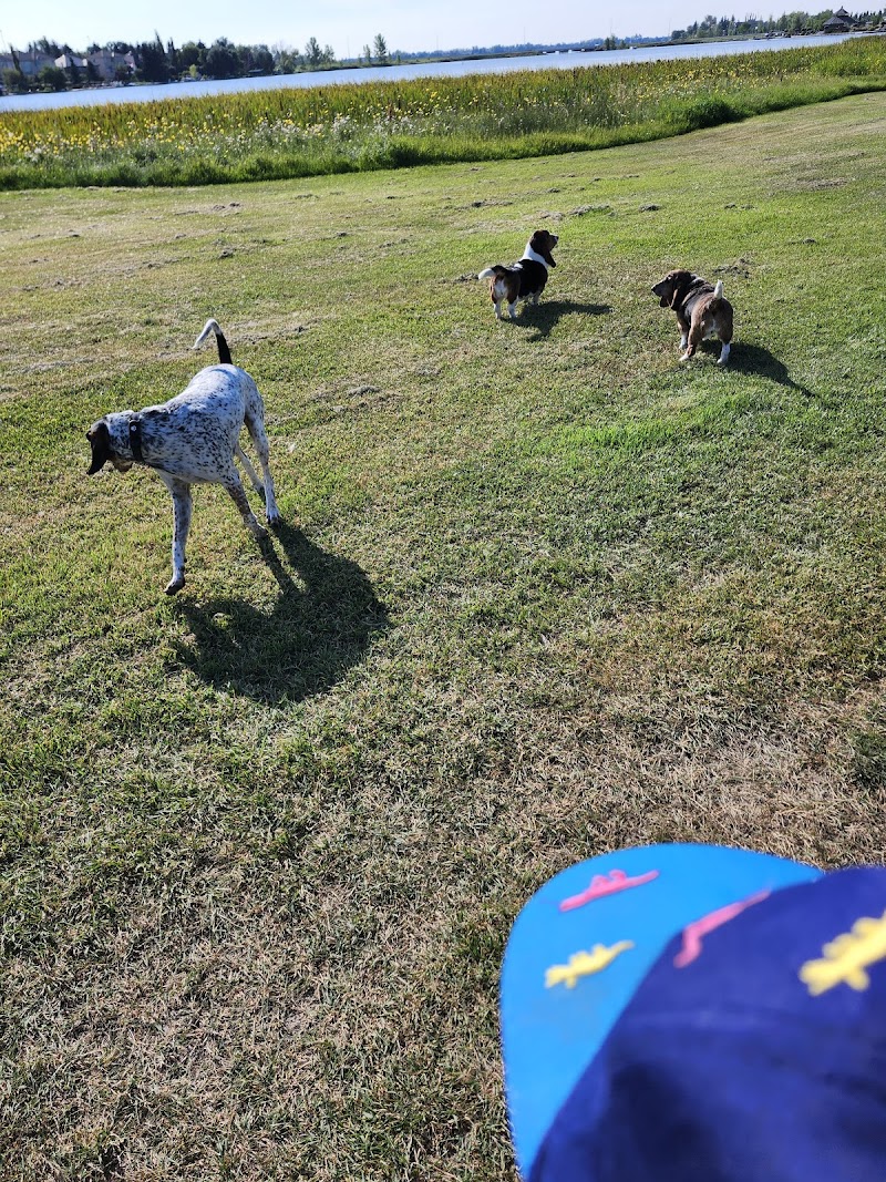 Chestermere Off-Leash Area dog park in Chestermere, Alberta