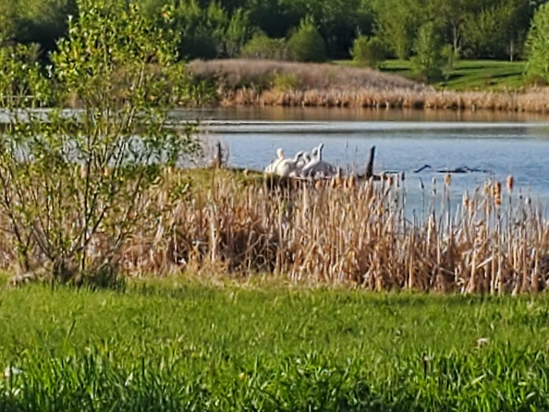Heritage Hills Off Leash Dog Park dog park in Sherwood Park, Alberta