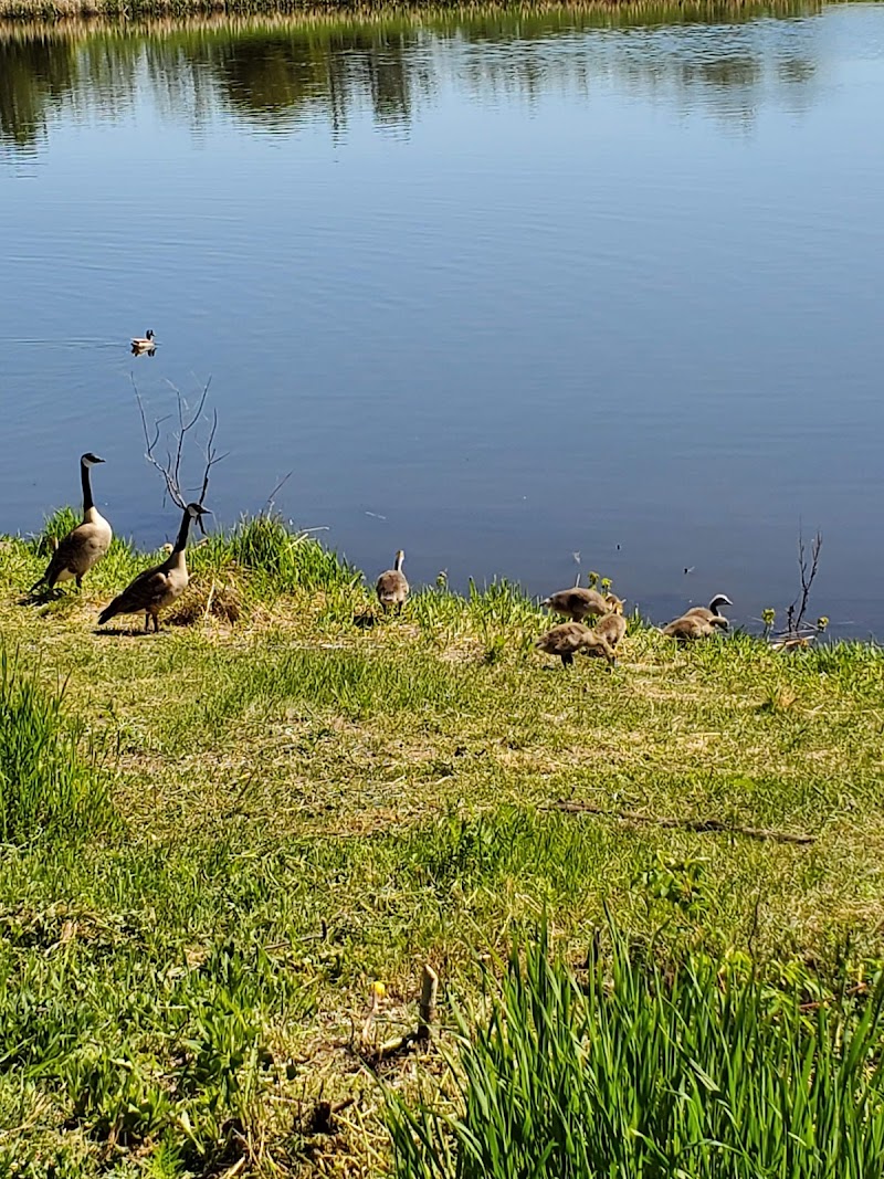 Heritage Hills Off Leash Dog Park dog park in Sherwood Park, Alberta
