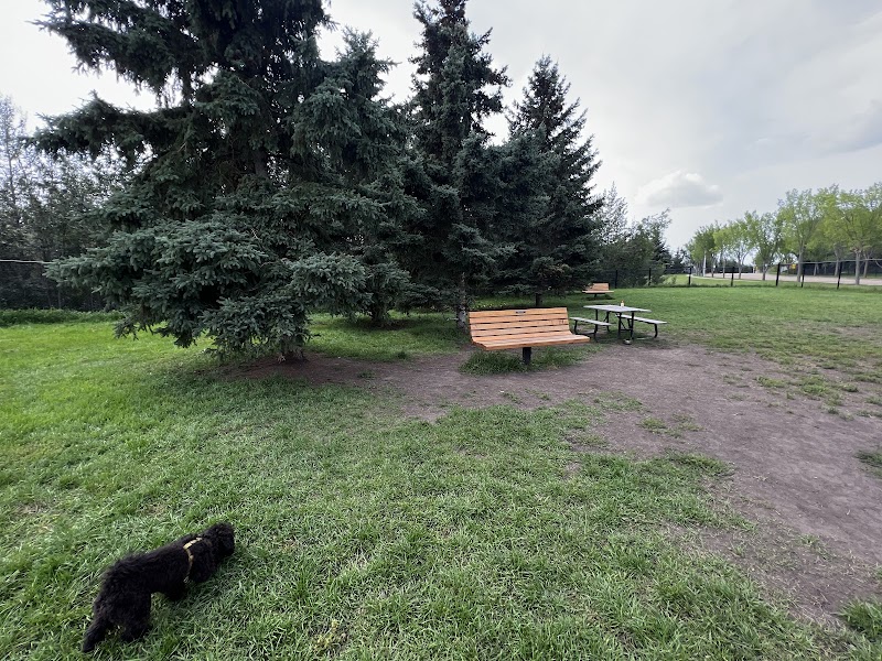Heritage Hills Off Leash Dog Park dog park in Sherwood Park, Alberta