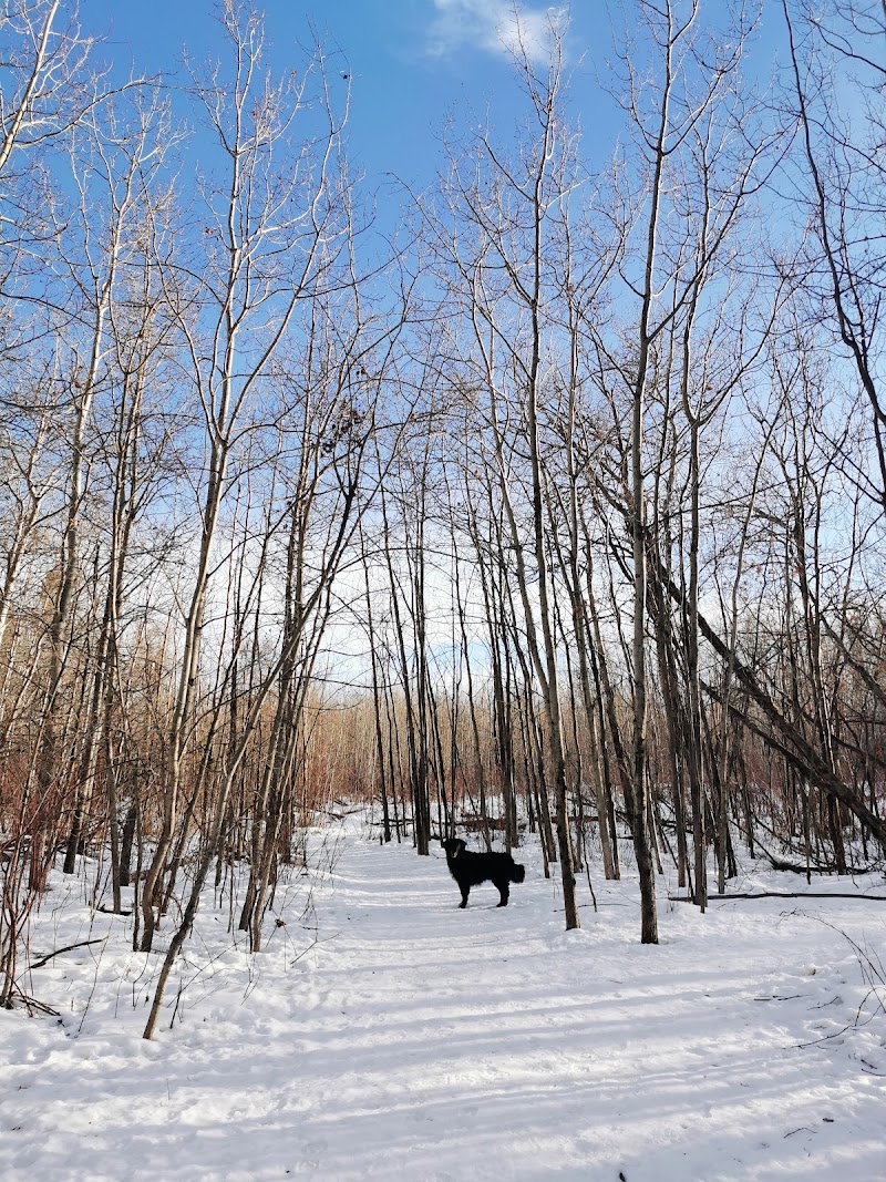 Callingwood Dog Park dog park in Edmonton, Alberta