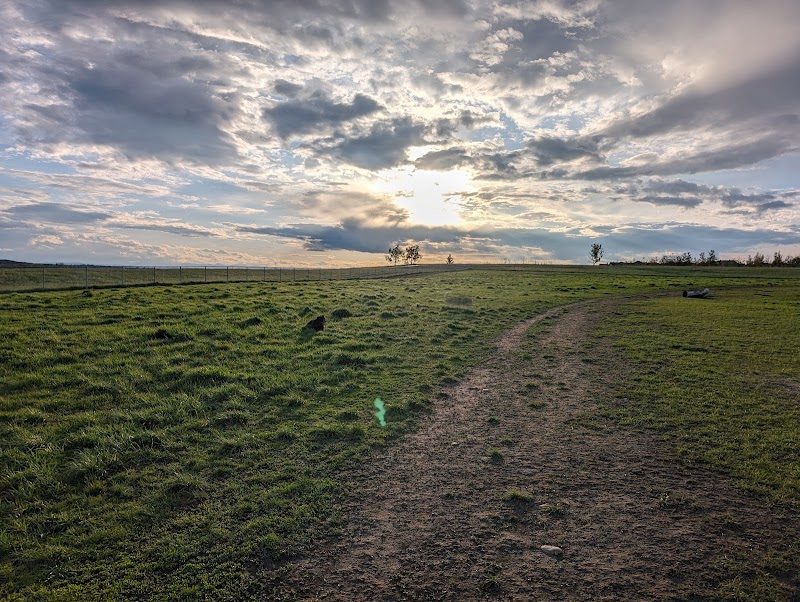 Okotoks Off Leash Dog Park dog park in Okotoks, Alberta