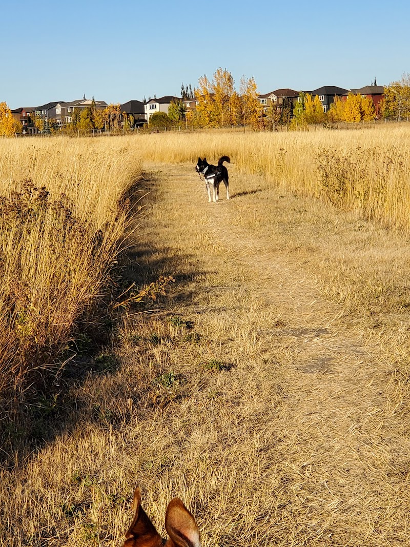 Okotoks Off Leash Dog Park dog park in Okotoks, Alberta